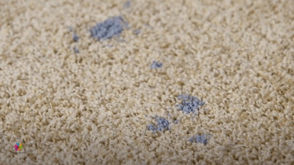 Person using a carpet cleaner to remove paint stains from a beige carpet