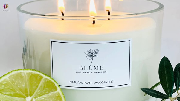 Natural Candles to Keep Mosquitoes and Insects Away for a Peaceful Night