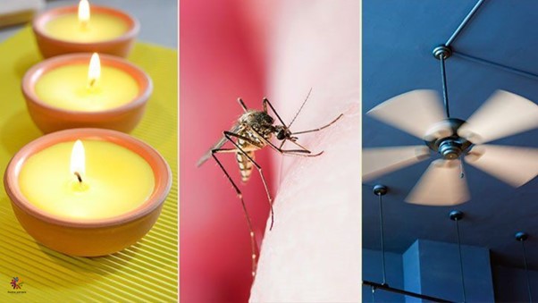 Nights Without Mosquitoes: Use Four Natural Candles to Keep Insects Out