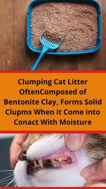 Top 5 Tips for Cleaning and Maintaining Cat Litter for a Fresh and Odor-Free Home