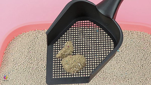 Top 5 Tips for Cleaning and Maintaining Cat Litter for a Fresh and Odor-Free Home