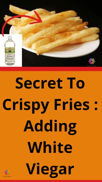 Crispy French fries served with a bowl of white vinegar for dipping