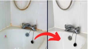 Get Rid of Toilet Mould Two Ways to Keep Your Bathroom Mold-Free