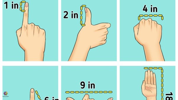 Four Creative Ways to Measure Up an Object’s Size Without a Meter