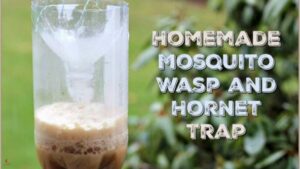 DIY Mosquito Trap: Easy and Powerful Methods
