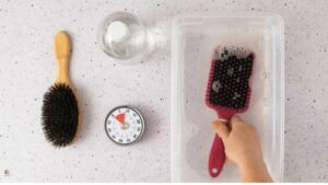 A clean hairbrush with removed hair and fresh bristles after deep cleaning